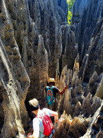 /album/fotogaleria-madagaskar-zajazd-vy-a-my1/madagaskar-zajazd-15-jpg3/